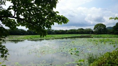 ��o���@���r