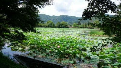 ��o���@���r