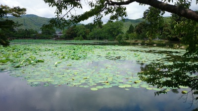 ��o���@���r