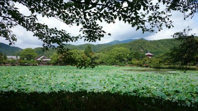 ��o���@���r